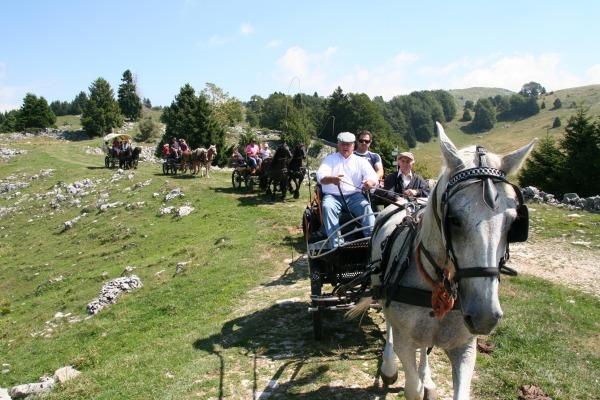 Campeggio Branchetto Hotel Bosco Chiesanuova Zewnętrze zdjęcie