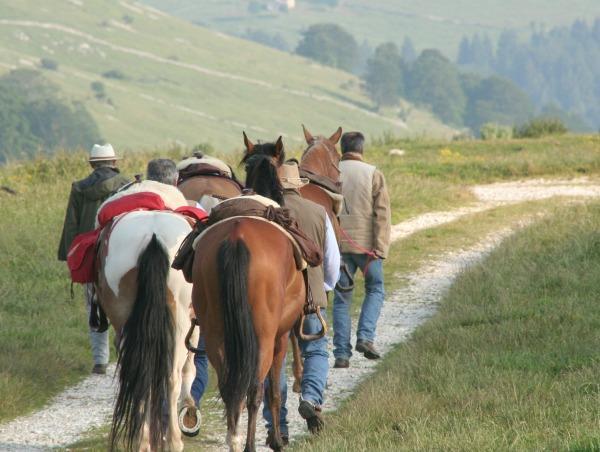 Campeggio Branchetto Hotel Bosco Chiesanuova Zewnętrze zdjęcie